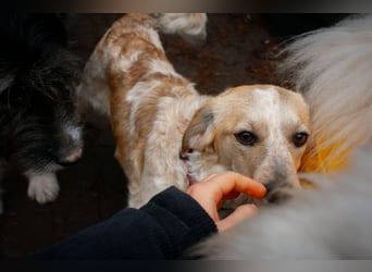 BELLA  die kleine Komikerin