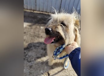 SUNNY wie ein kleiner Sonnenstrahl