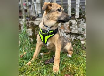 LIESCHEN - auf Pflege in Bayern!