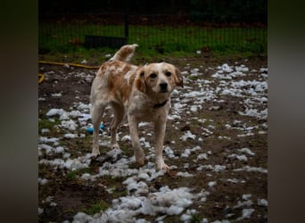 BELLA  die kleine Komikerin