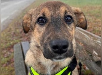 LIESCHEN - auf Pflege in Bayern!