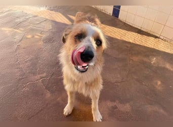 LEZO ein besonderer Bub