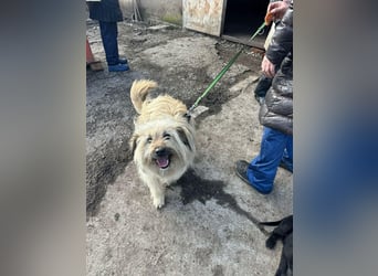 SUNNY wie ein kleiner Sonnenstrahl