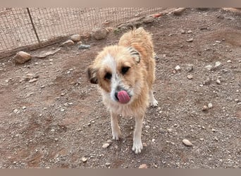 LEZO ein besonderer Bub