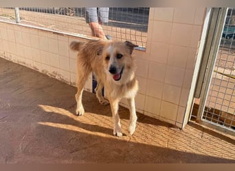 LEZO ein besonderer Bub