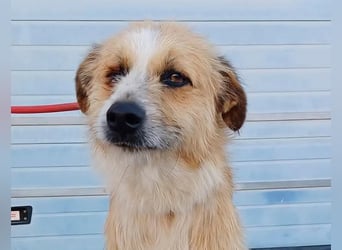 LEZO ein besonderer Bub