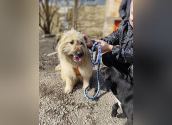 SUNNY wie ein kleiner Sonnenstrahl