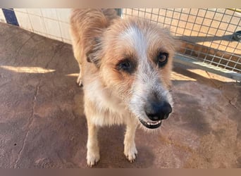 LEZO ein besonderer Bub