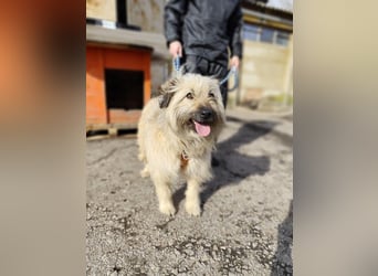 SUNNY wie ein kleiner Sonnenstrahl