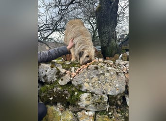 SUNNY wie ein kleiner Sonnenstrahl