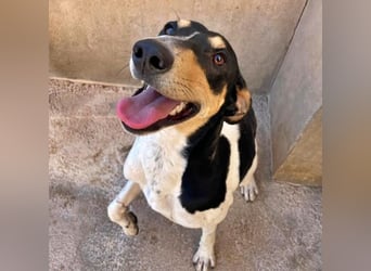 DOROTHY das feine Mädchen