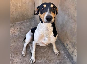 DOROTHY das feine Mädchen