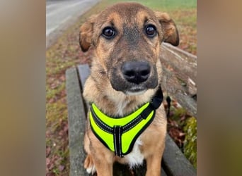 LIESCHEN - auf Pflege in Bayern!