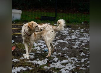 BELLA  die kleine Komikerin