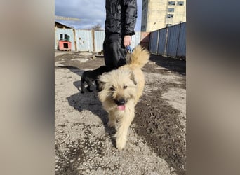 SUNNY wie ein kleiner Sonnenstrahl