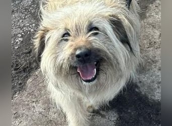 SUNNY wie ein kleiner Sonnenstrahl