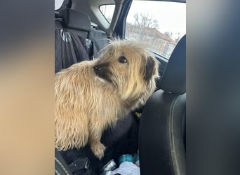 SUNNY wie ein kleiner Sonnenstrahl