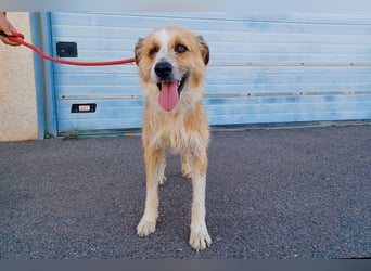 LEZO ein besonderer Bub