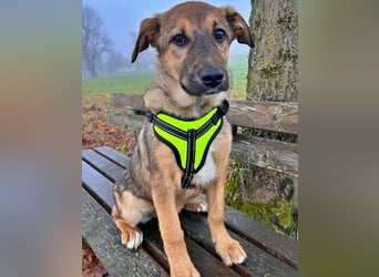 LIESCHEN - auf Pflege in Bayern!