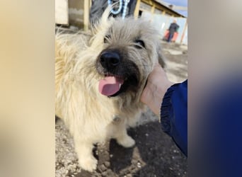 SUNNY wie ein kleiner Sonnenstrahl