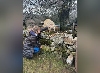 SUNNY wie ein kleiner Sonnenstrahl