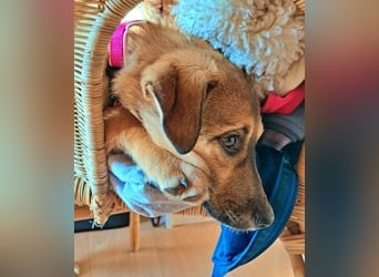 LIESCHEN - auf Pflege in Bayern!