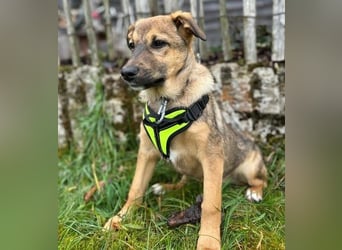 LIESCHEN - auf Pflege in Bayern!