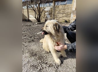 SUNNY wie ein kleiner Sonnenstrahl