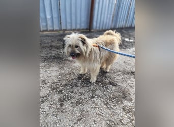 SUNNY wie ein kleiner Sonnenstrahl