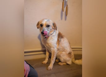 BELLA  die kleine Komikerin