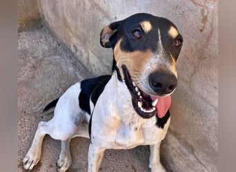 DOROTHY das feine Mädchen