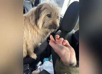 SUNNY wie ein kleiner Sonnenstrahl