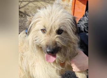 SUNNY wie ein kleiner Sonnenstrahl