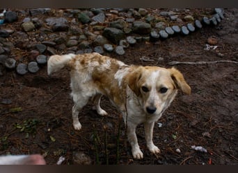 BELLA  die kleine Komikerin