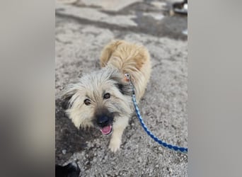 SUNNY wie ein kleiner Sonnenstrahl