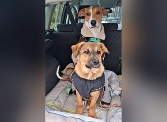 LIESCHEN - auf Pflege in Bayern!