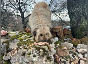 SUNNY wie ein kleiner Sonnenstrahl