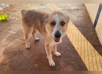 LEZO ein besonderer Bub