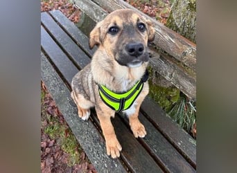 LIESCHEN - auf Pflege in Bayern!