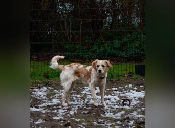 BELLA  die kleine Komikerin