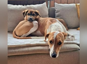 LIESCHEN - auf Pflege in Bayern!