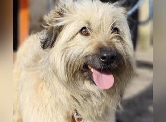 SUNNY wie ein kleiner Sonnenstrahl