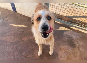 LEZO ein besonderer Bub