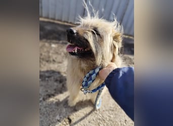 SUNNY wie ein kleiner Sonnenstrahl