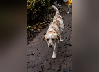 BELLA  die kleine Komikerin