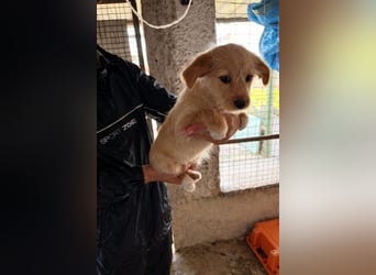 PENNY sucht ein liebevolles Daheim