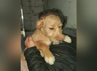 PENNY sucht ein liebevolles Daheim