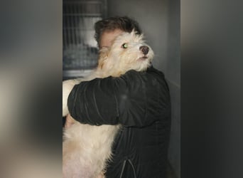 KALLE sucht sein Traumkörbchen