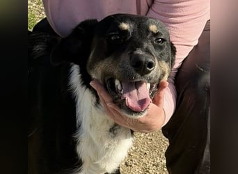 CLYDE – großer Babyblick sucht aktive Familie