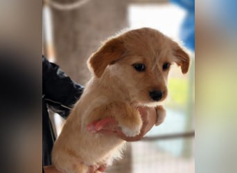 PENNY sucht ein liebevolles Daheim